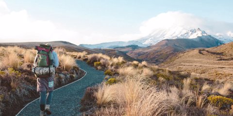 Hiker in the Tongariro National Park - Visit Ruapehu.jpg